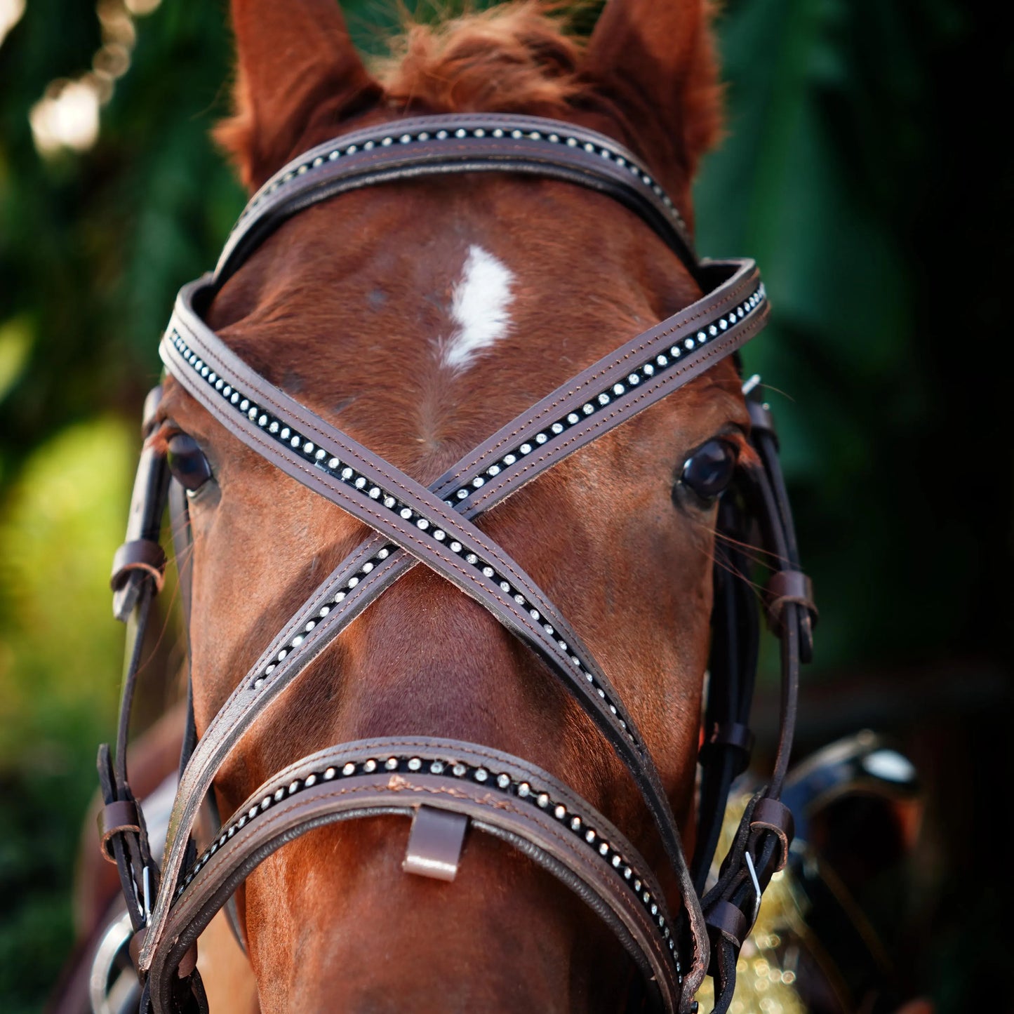 Handmade Leather Horse Bridle, Custom Horse Bridle with adjustable Bridle
