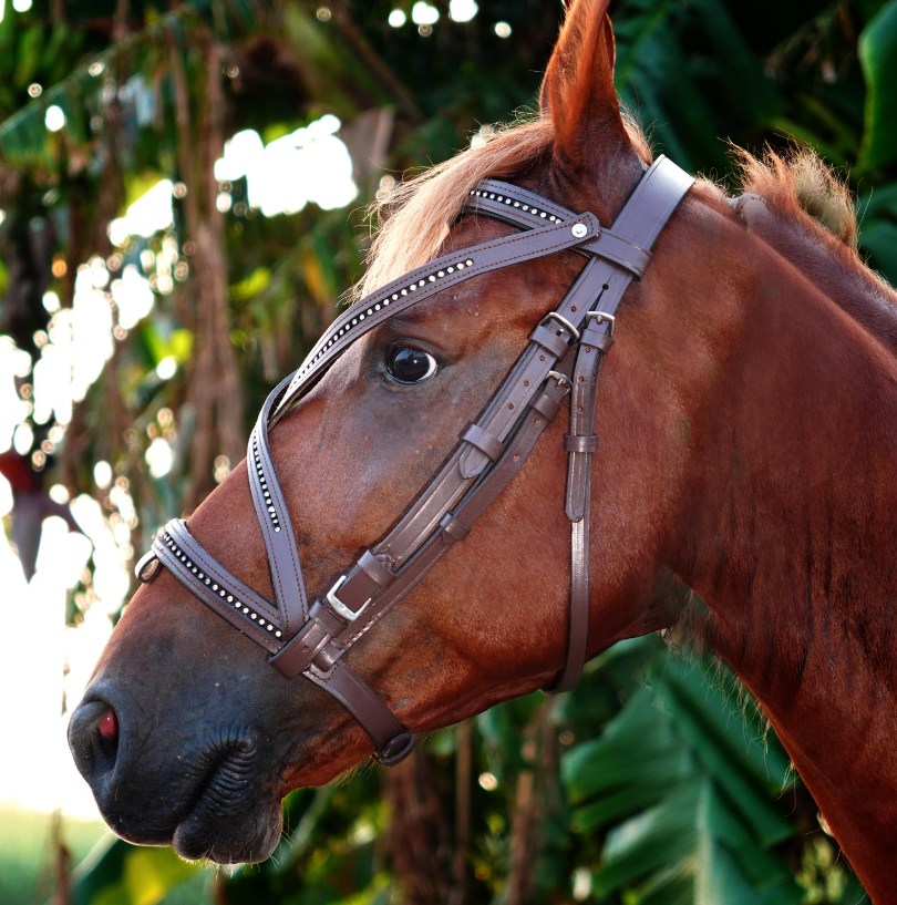 Handmade Leather Horse Bridle, Custom Horse Bridle with adjustable Bridle