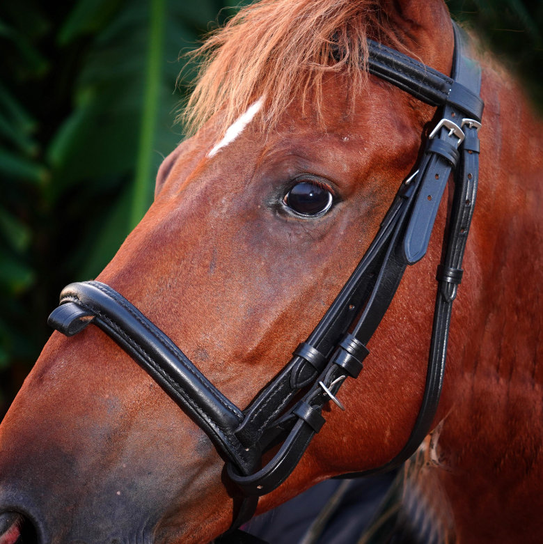 Handmade Leather Horse Bridle , Custom Horse Bridle with adjustable bridle - Black