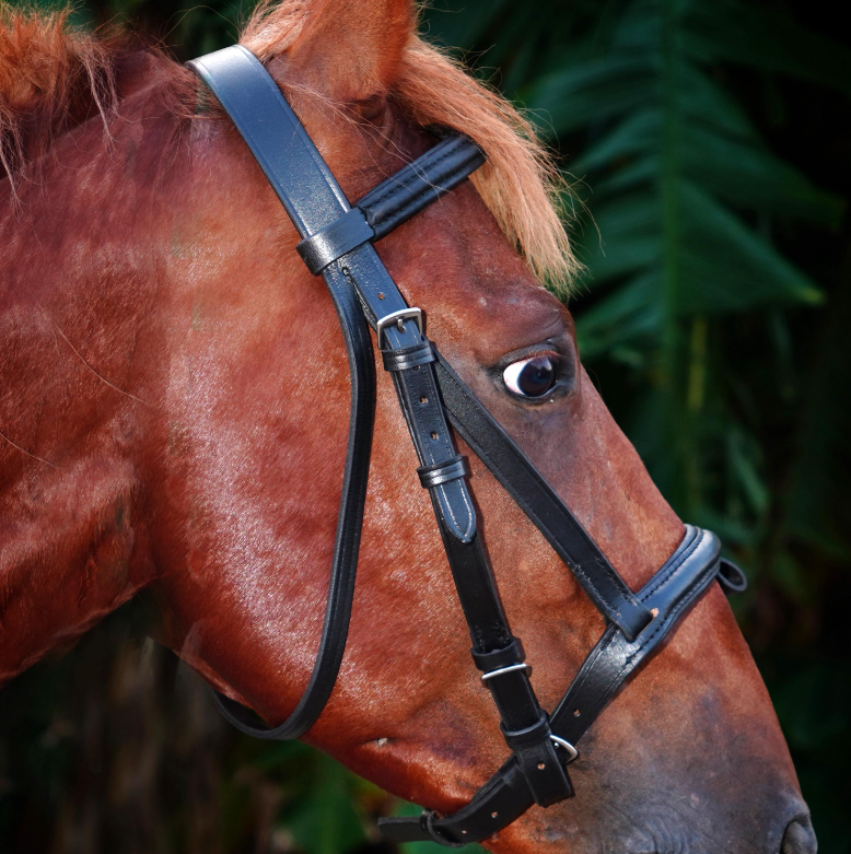 Handmade Leather Horse Bridle , Custom Horse Bridle with adjustable bridle - Black